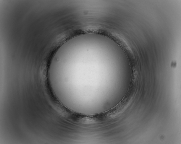 X0000102500498200808221758