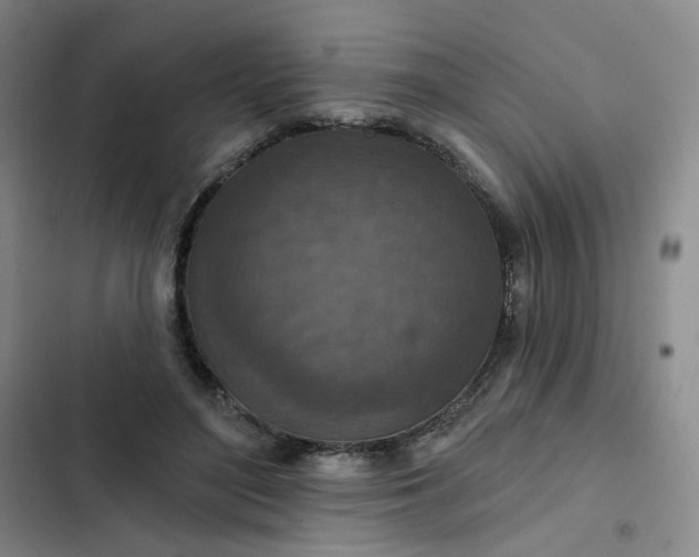 X0000102500500200808221758