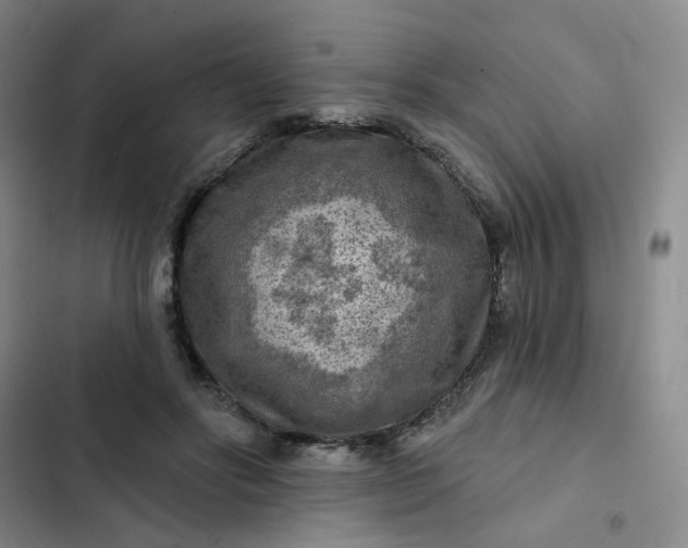 X0000102500502200808221757