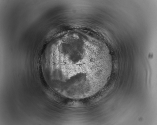 X0000102500503200808221757