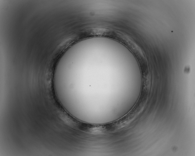 X0000102500505200808221757