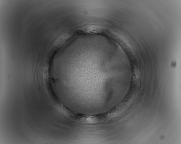 X0000102500506200808221757