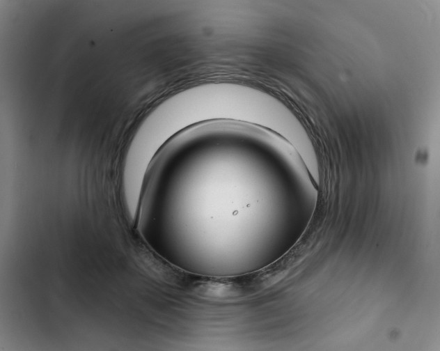 X0000102500507200808221757