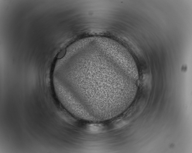 X0000102500508200808221757