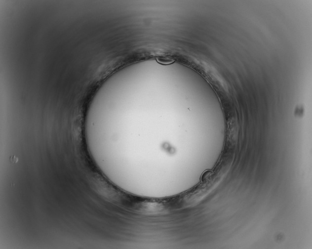 X0000102500509200808221757