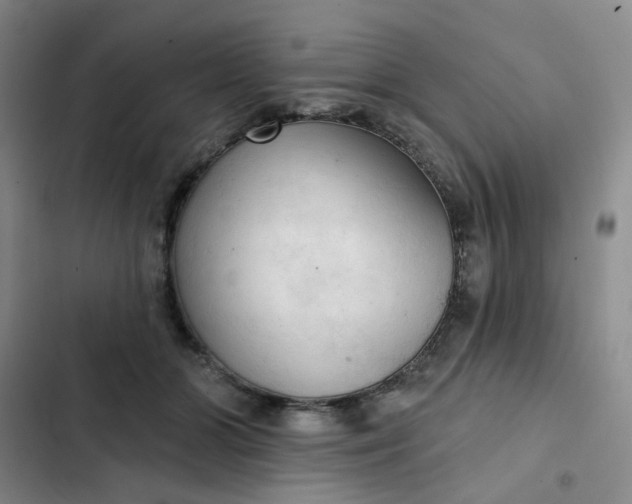 X0000102500510200808221757