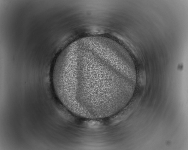 X0000102500512200808221757