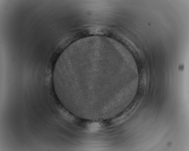 X0000102500513200808221757