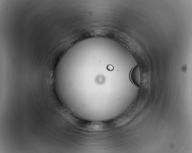 X0000102500514200808221757