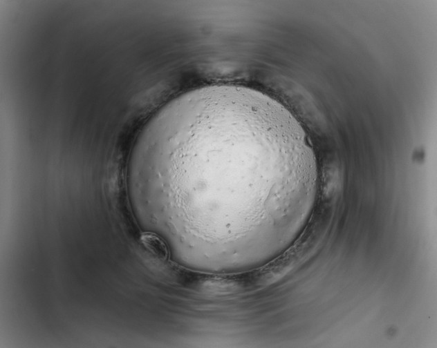 X0000102500515200808221757