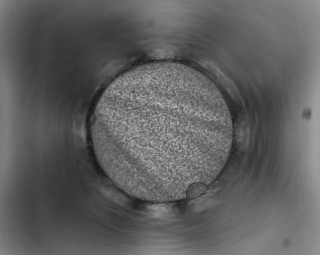 X0000102500516200808221757