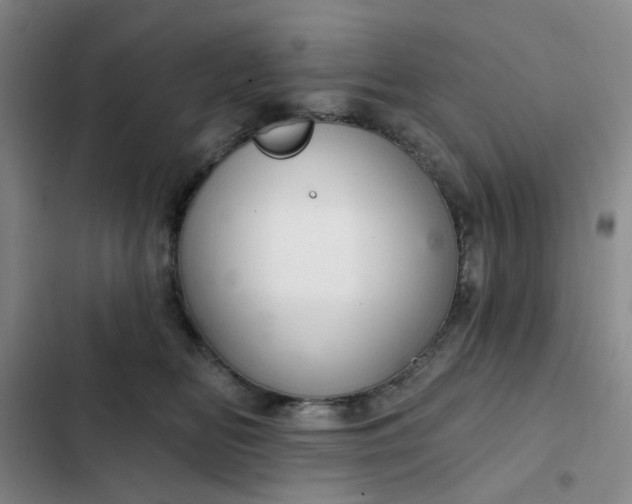 X0000102500518200808221757