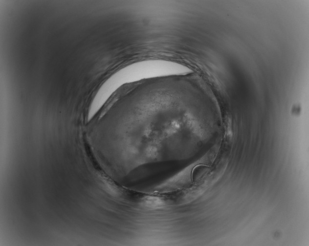 X0000102500519200808221757