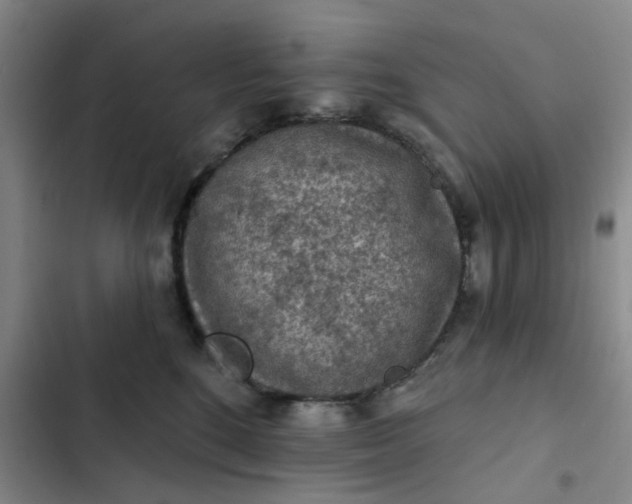 X0000102500520200808221757