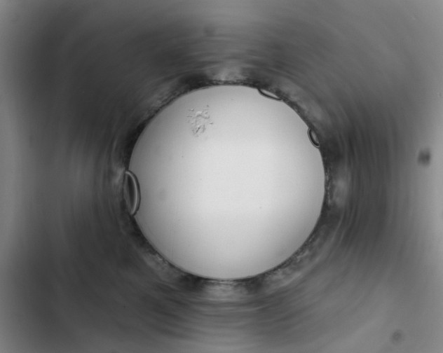 X0000102500521200808221757