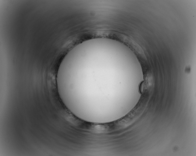 X0000102500522200808221757