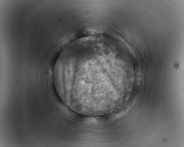 X0000102500523200808221757