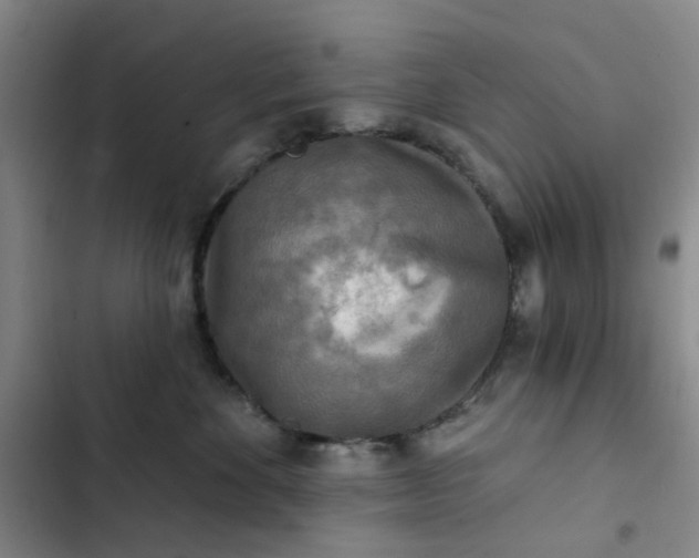 X0000102500524200808221757