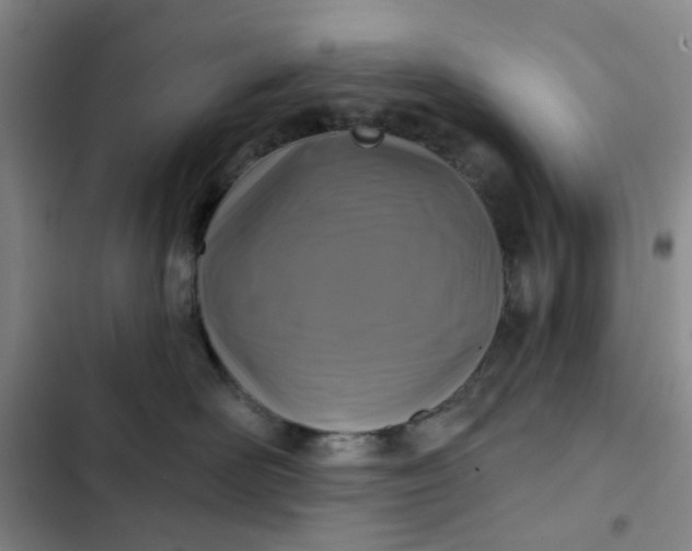 X0000102500526200808221757