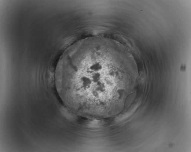 X0000102500527200808221757