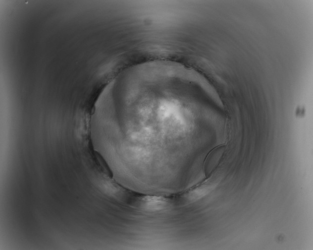 X0000102500528200808221757