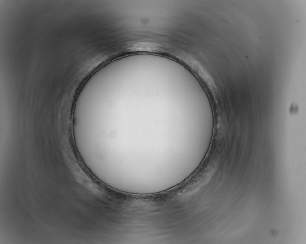 X0000102500529200808221756