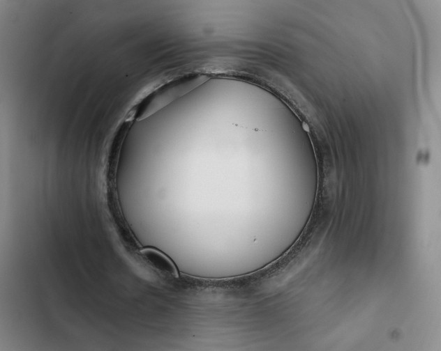 X0000102500530200808221756