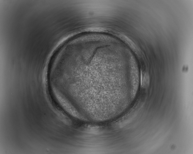 X0000102500531200808221756