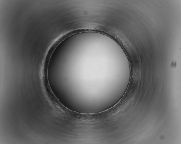 X0000102500532200808221756