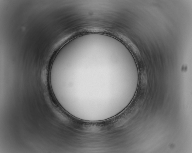 X0000102500533200808221756