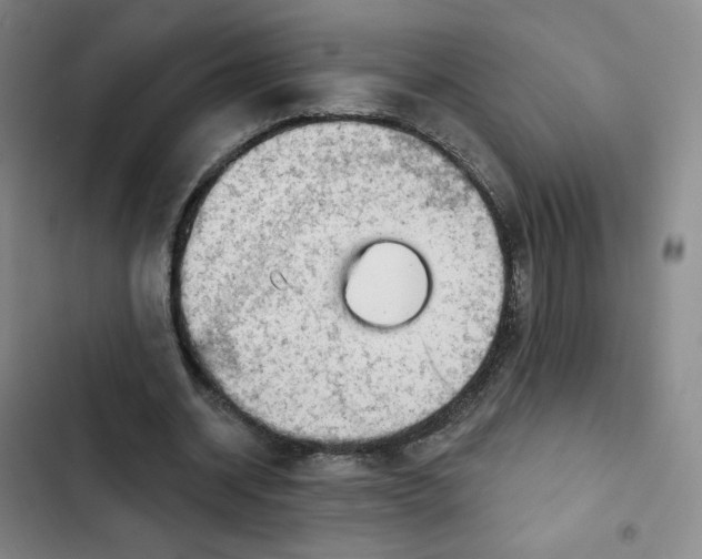 X0000102500534200808221756