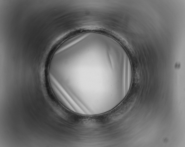 X0000102500535200808221756