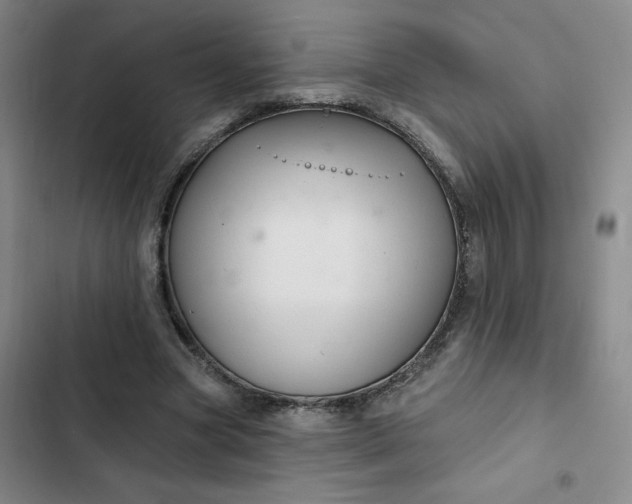 X0000102500537200808221756