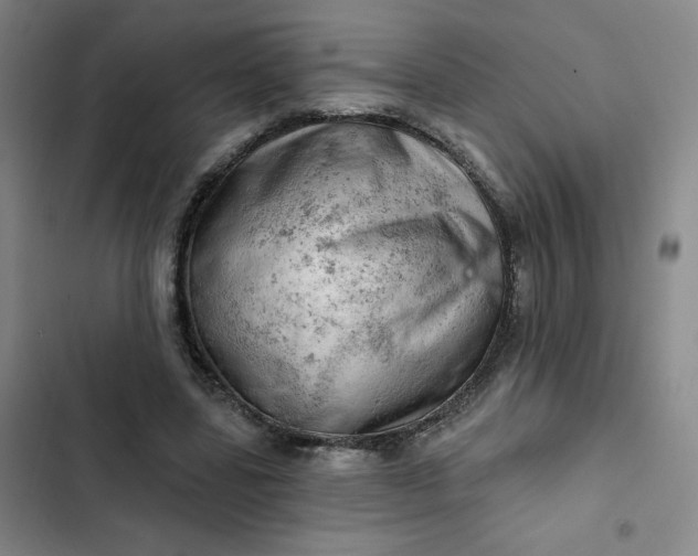 X0000102500539200808221756