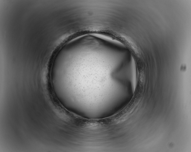 X0000102500540200808221756