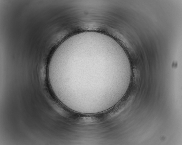 X0000102500541200808221756