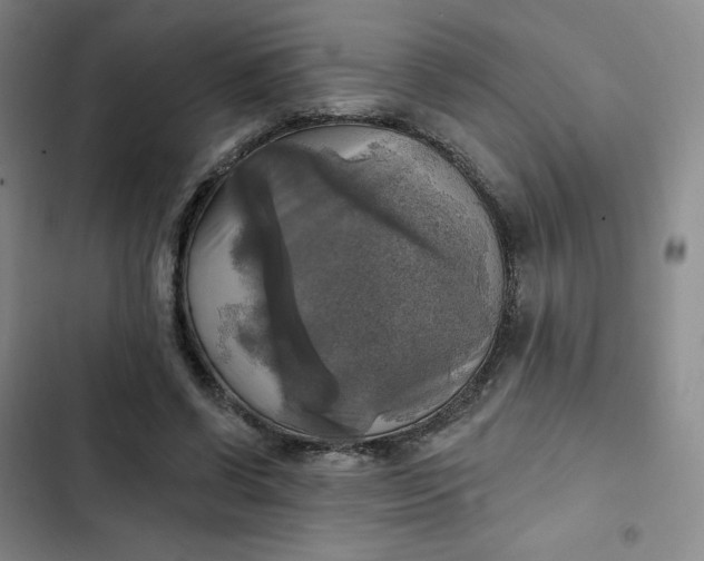 X0000102500542200808221756