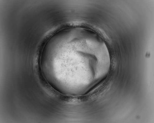 X0000102500543200808221756