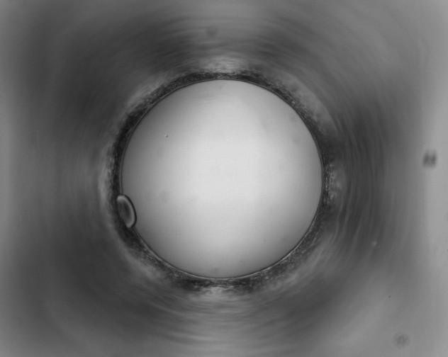 X0000102500544200808221757