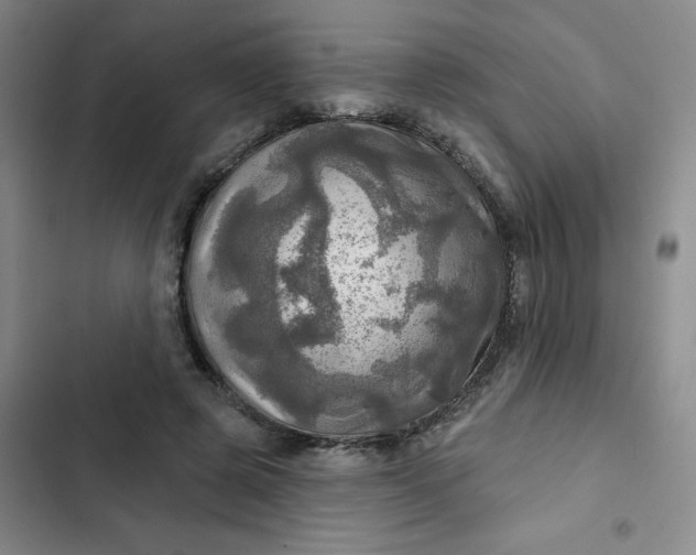 X0000102500545200808221757