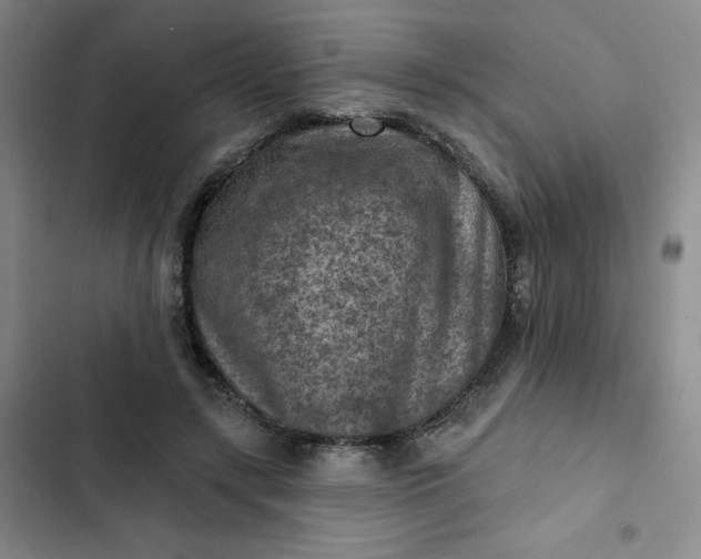 X0000102500547200808221757