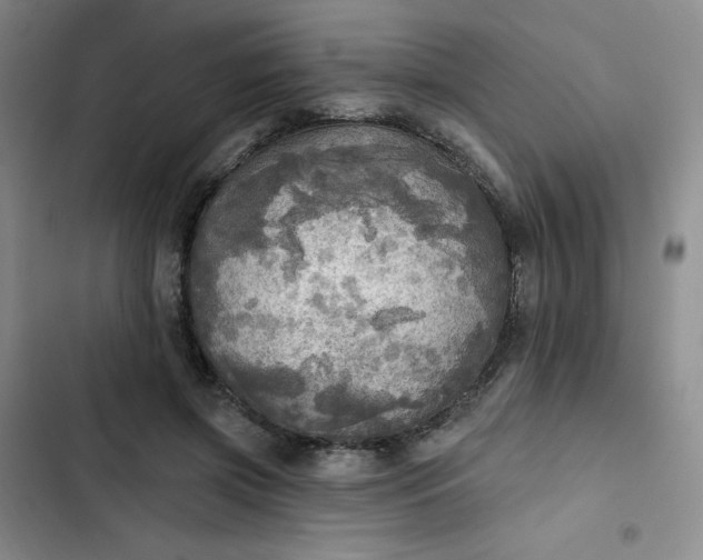 X0000102500549200808221757