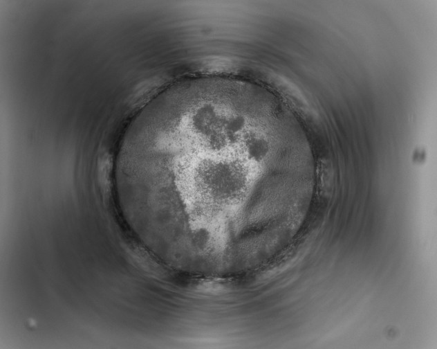 X0000102500550200808221757