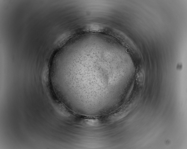 X0000102500552200808221757