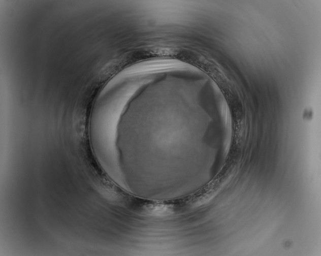 X0000102500553200808221757