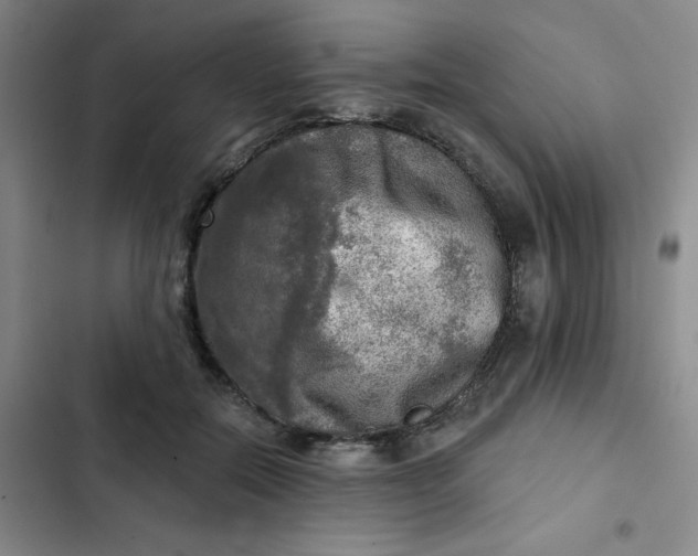 X0000102500554200808221757