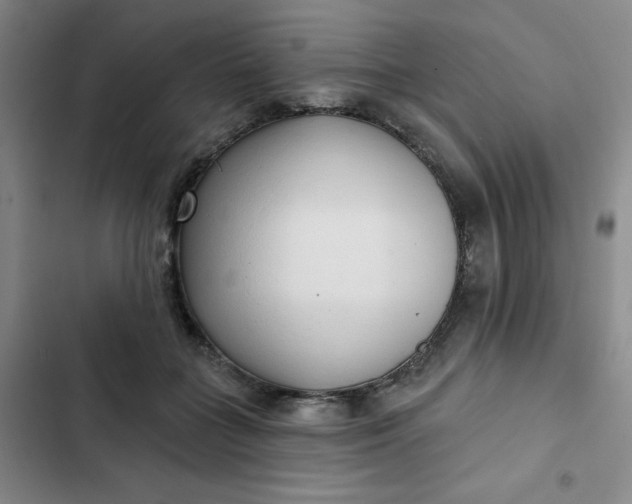 X0000102500555200808221757