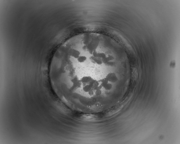 X0000102500557200808221757