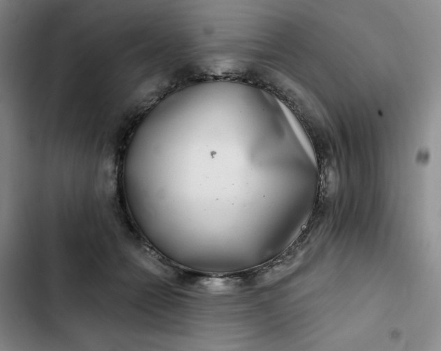 X0000102500558200808221757