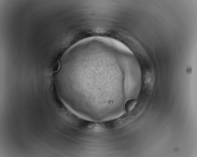 X0000102500559200808221757